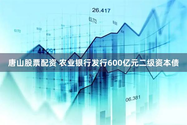 唐山股票配资 农业银行发行600亿元二级资本债