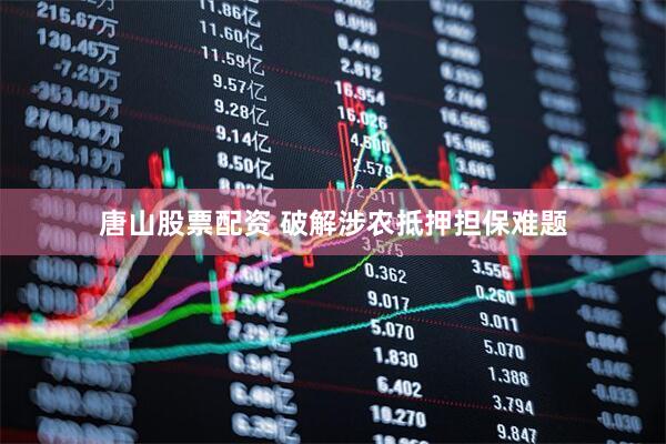 唐山股票配资 破解涉农抵押担保难题