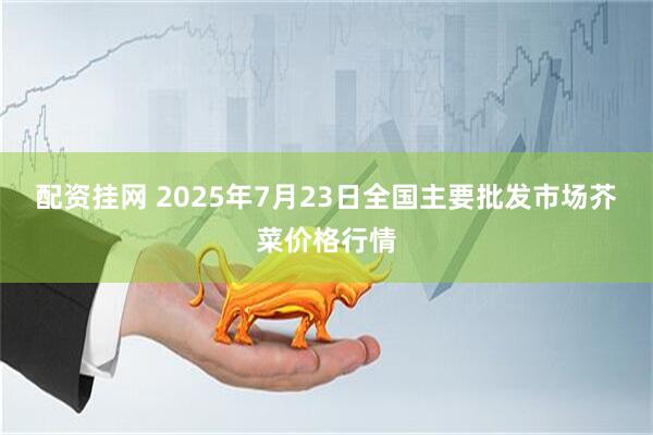 配资挂网 2025年7月23日全国主要批发市场芥菜价格行情